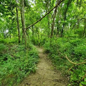 Meet your Posher, Joanna